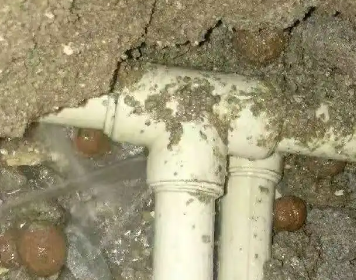 麦盖提测漏水多少钱