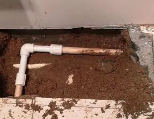 麦盖提测漏水哪家好