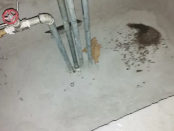 麦盖提卫生间测漏水价格明细