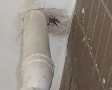 麦盖提漏水检测哪家好